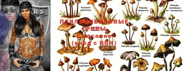 кокаин перу Гусев