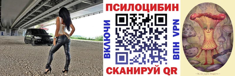 Псилоцибиновые грибы прущие грибы  mega   Пустошка 