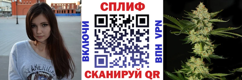 дарнет шоп  Пустошка  МАРИХУАНА THC 21% 